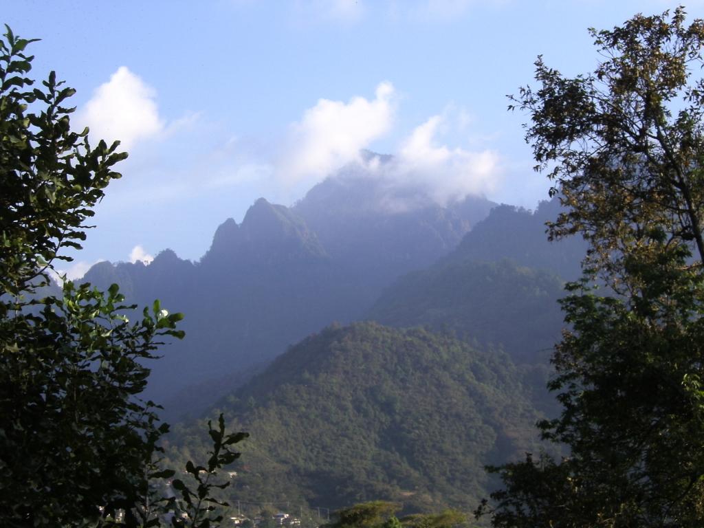 Foto de Zongozotla (Puebla), México