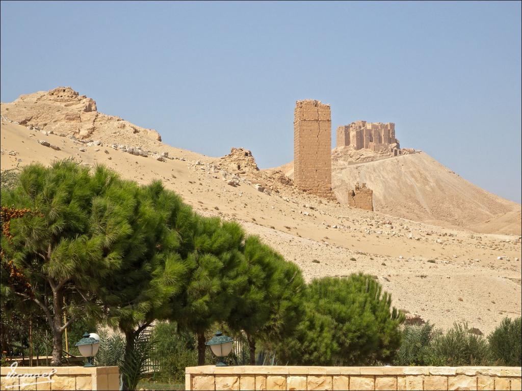 Foto de Palmira, La República Árabe Siria