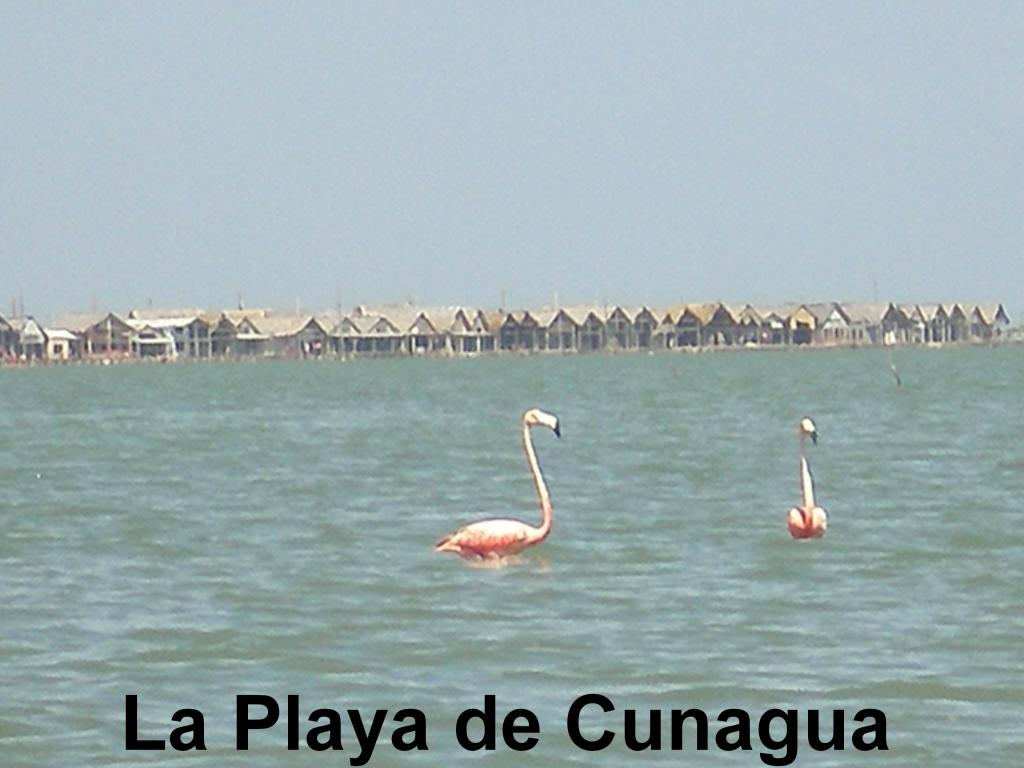 Foto de Cunagua, Cuba