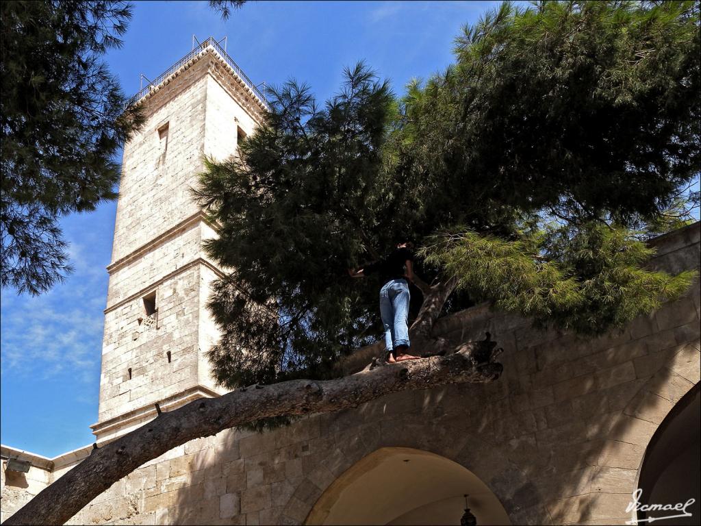 Foto de Alepo, La República Árabe Siria
