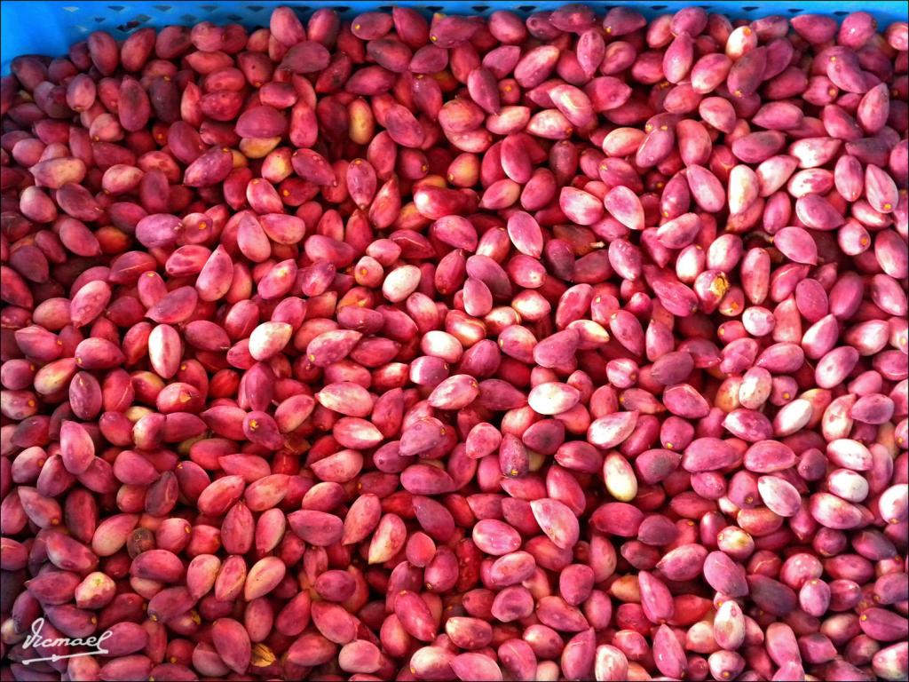 Foto de Alepo, La República Árabe Siria