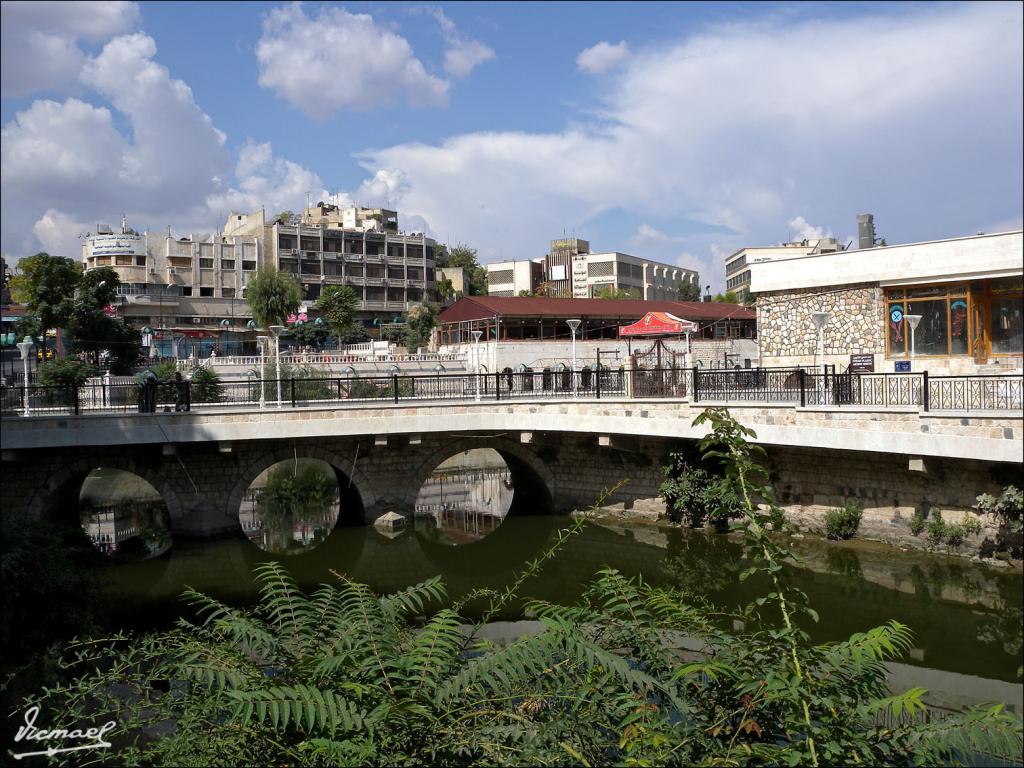 Foto de Hama, La República Árabe Siria