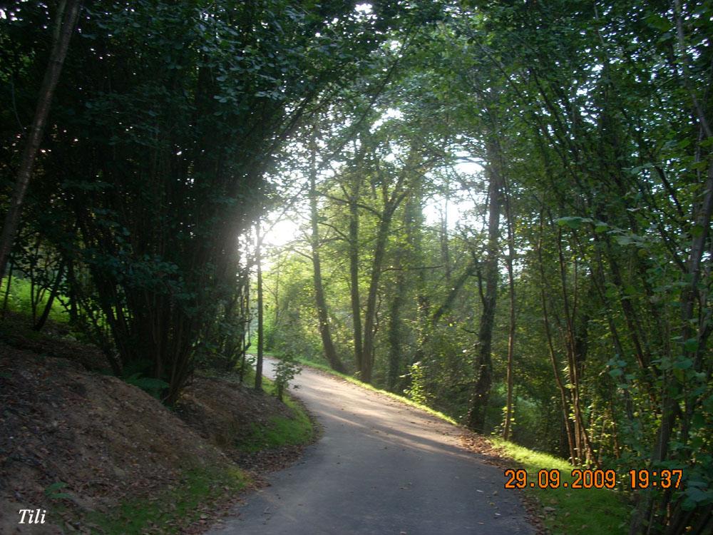 Foto de Oviedo (Asturias), España