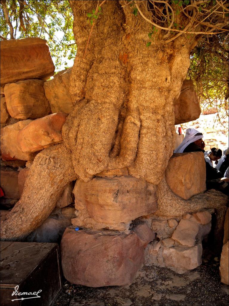 Foto de Petra, Jordania