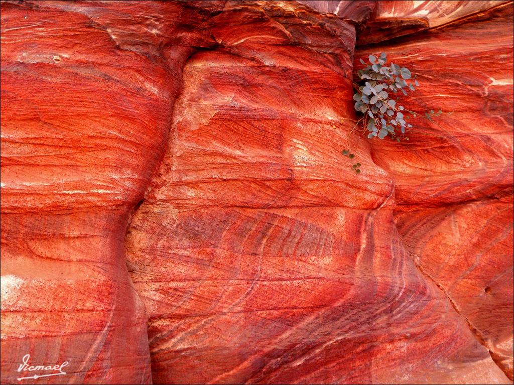 Foto de Petra, Jordania
