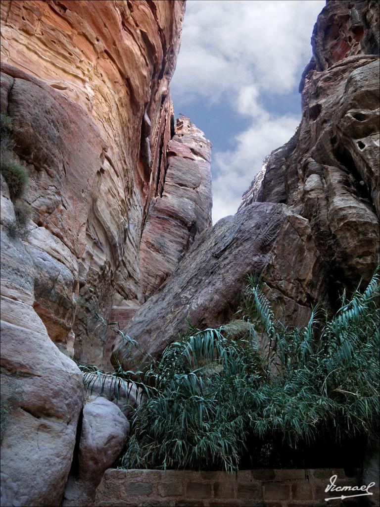 Foto de Petra, Jordania