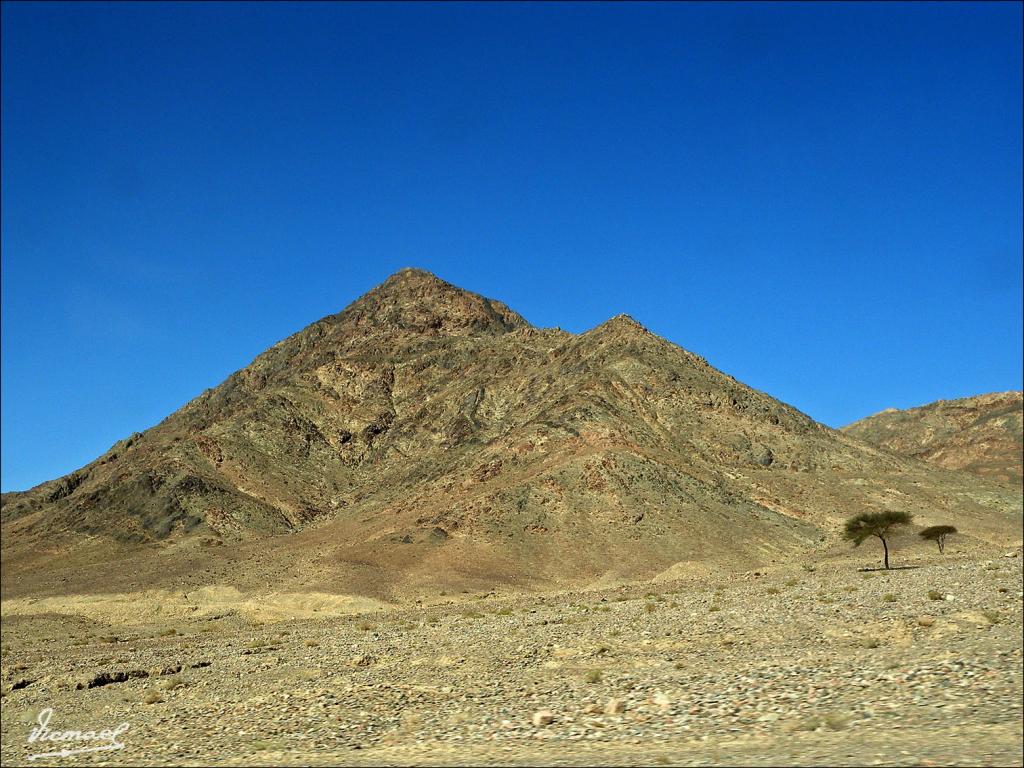 Foto de Wadi Rum, Jordania