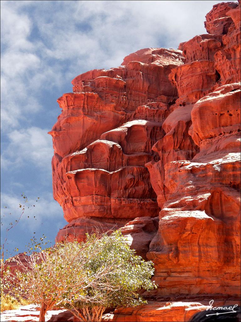 Foto de Wadi Rum, Jordania