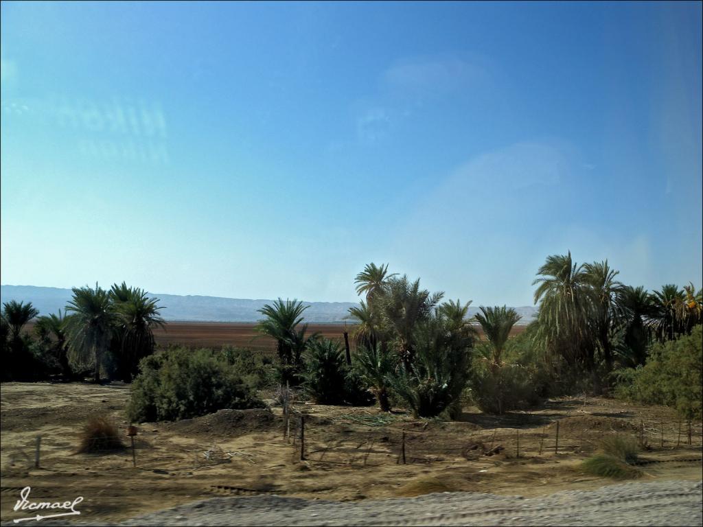 Foto de Mar Muerto, Jordania