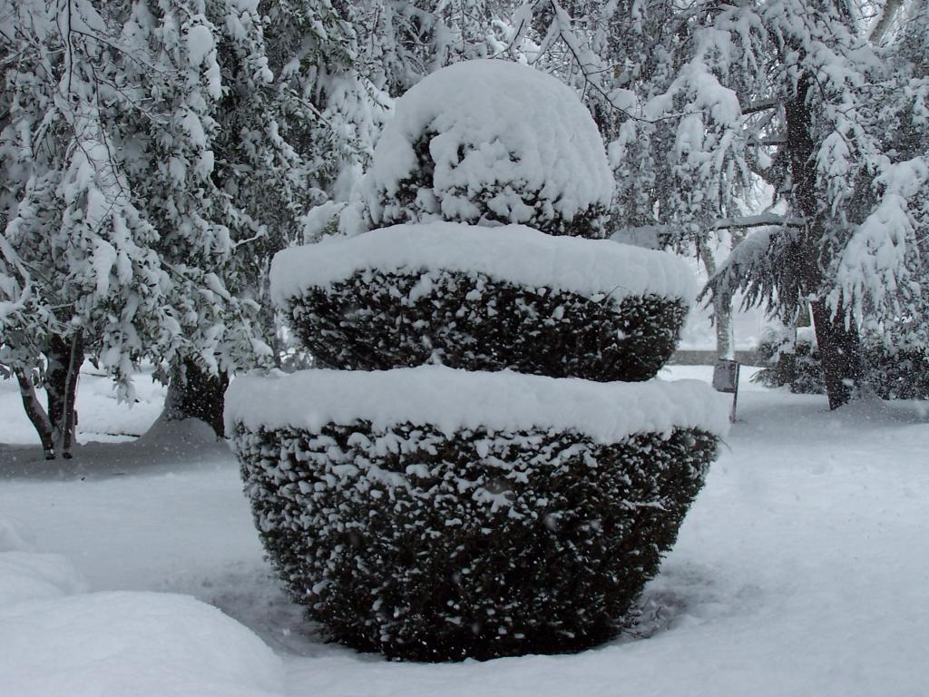 Foto de Burgos (Castilla y León), España
