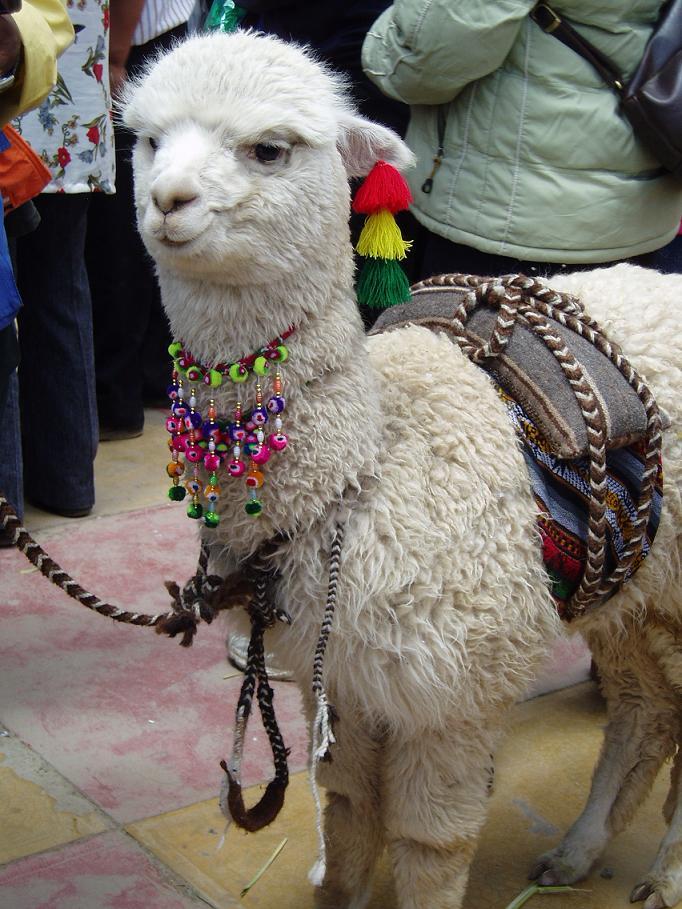 Foto de Oruro, Bolivia