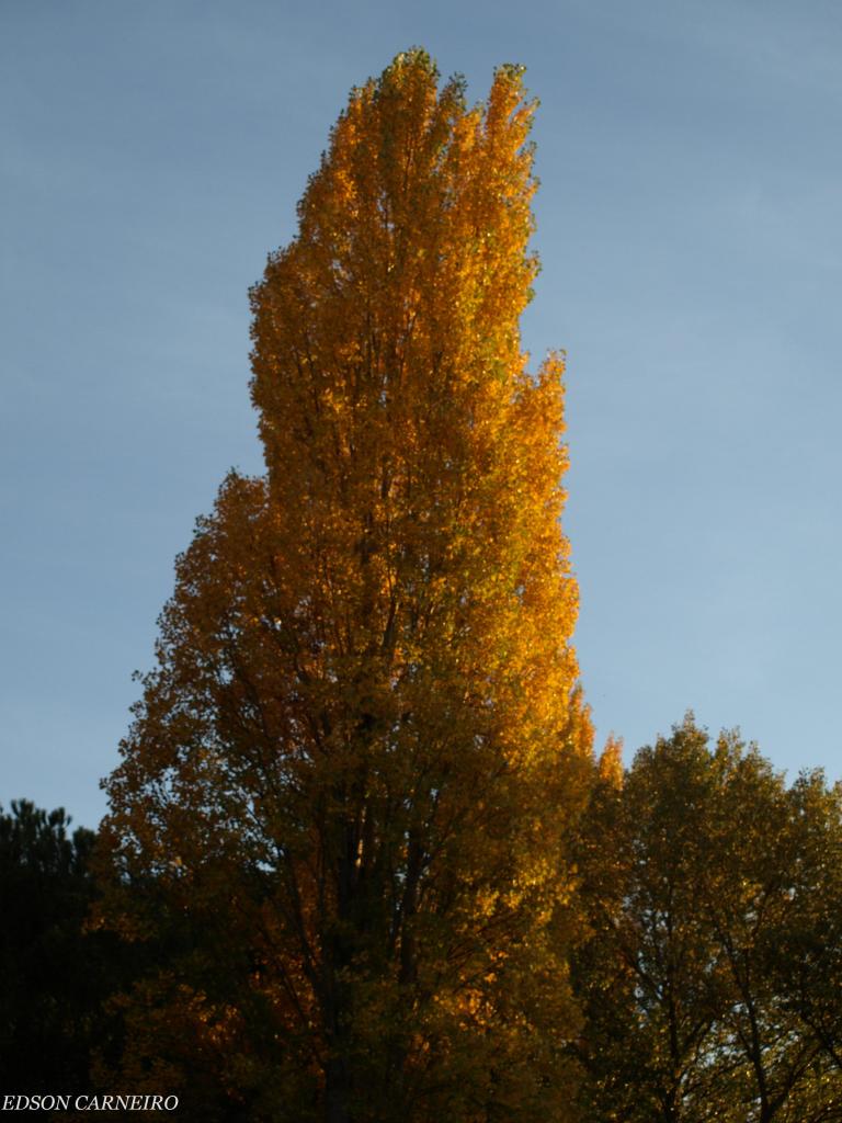 Foto de Peñafiel (Valladolid), España