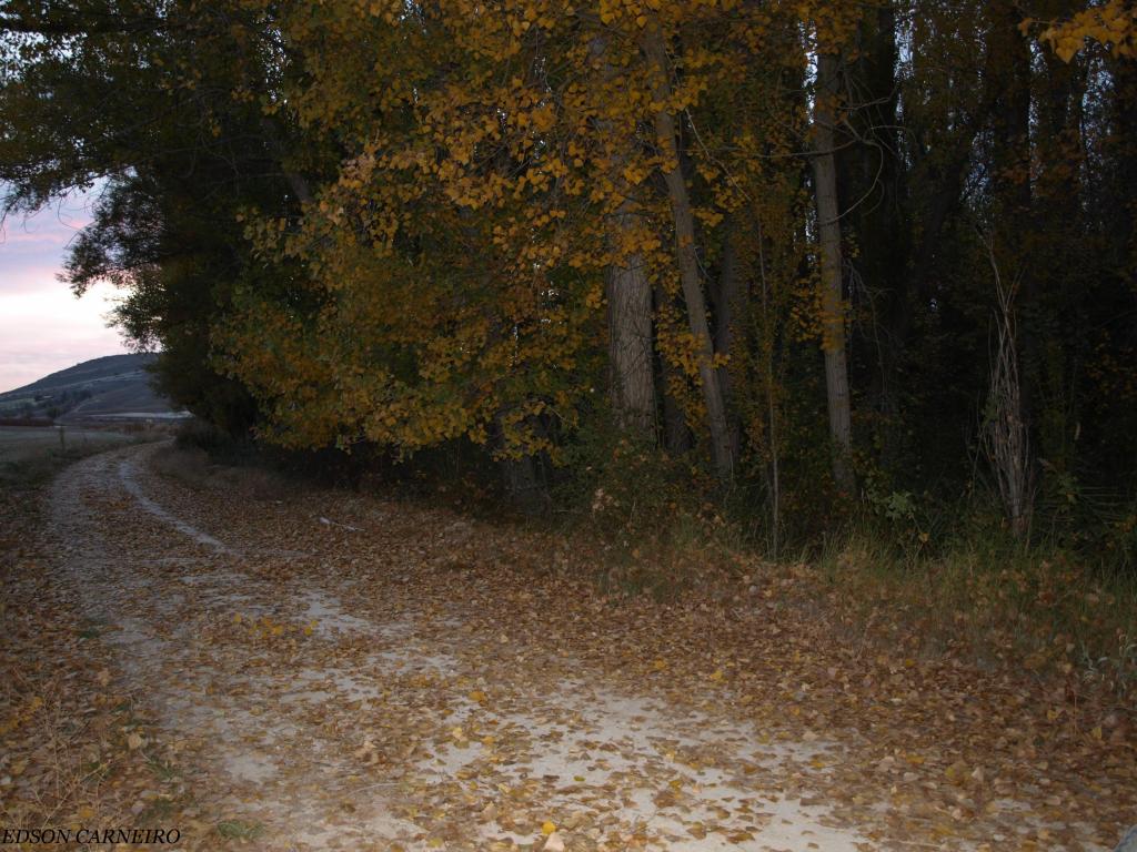 Foto de Aldeayuso (Valladolid), España