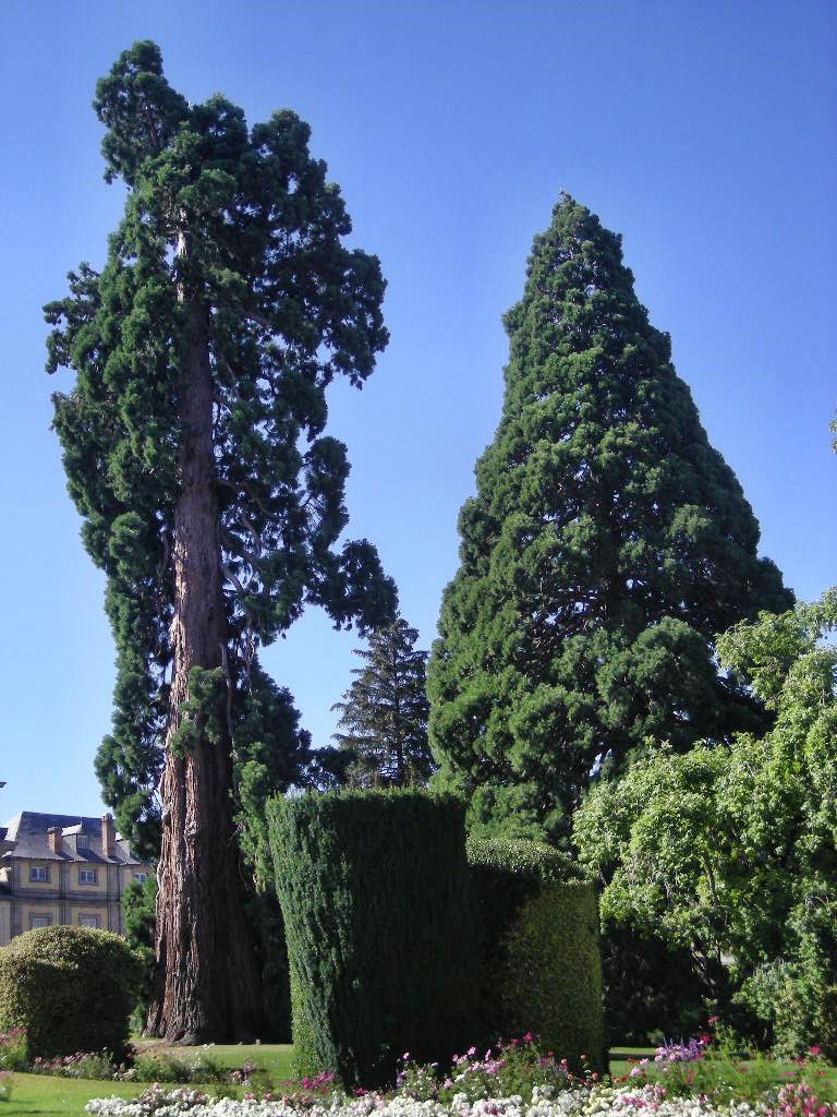 Foto de San Idelfonso (Segovia), España
