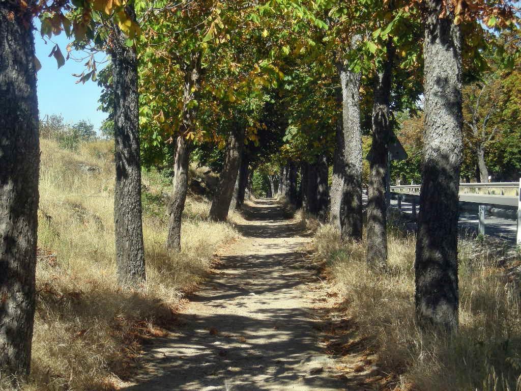 Foto de San Idelfonso (Segovia), España