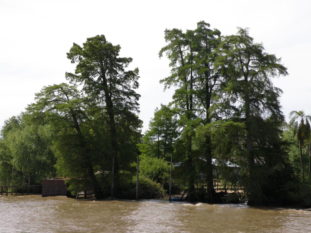 Foto de Tigre (Buenos Aires), Argentina
