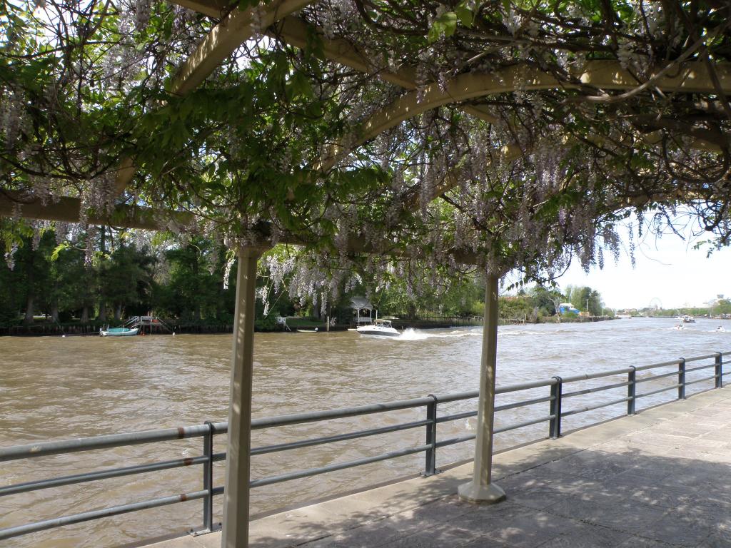 Foto de Tigre (Buenos Aires), Argentina