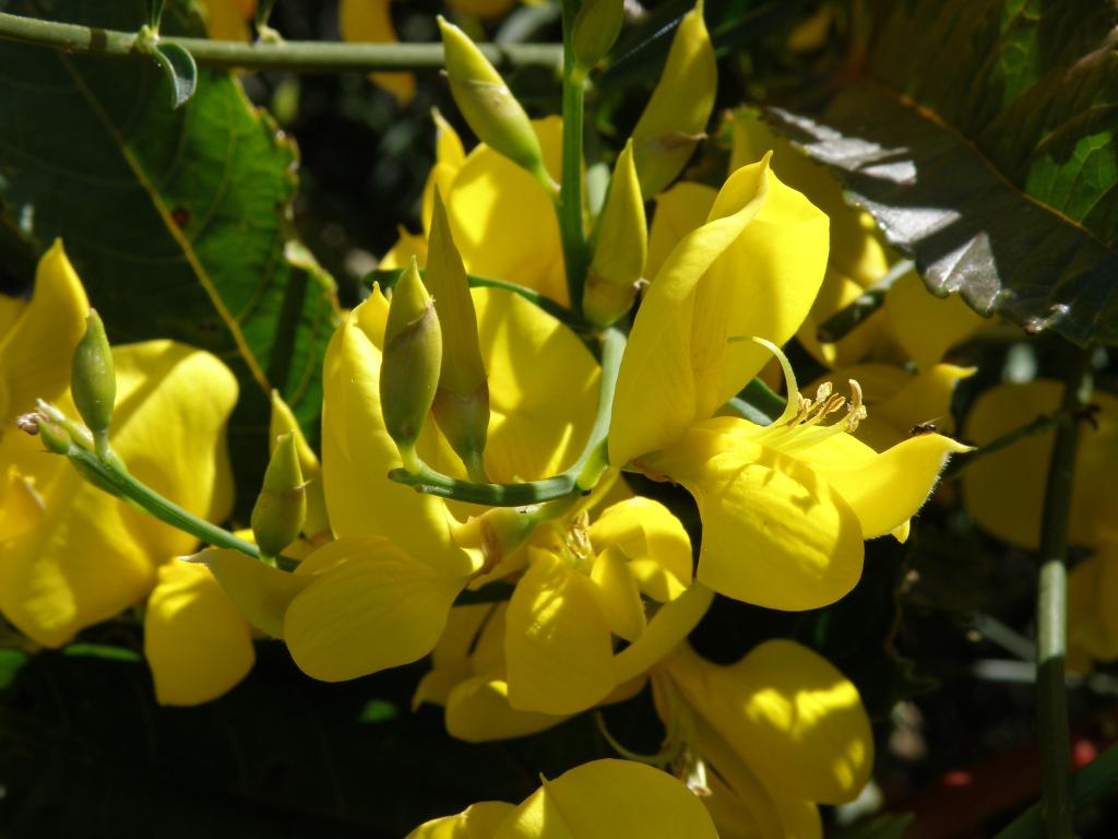 Foto de Buenos Aires, Argentina