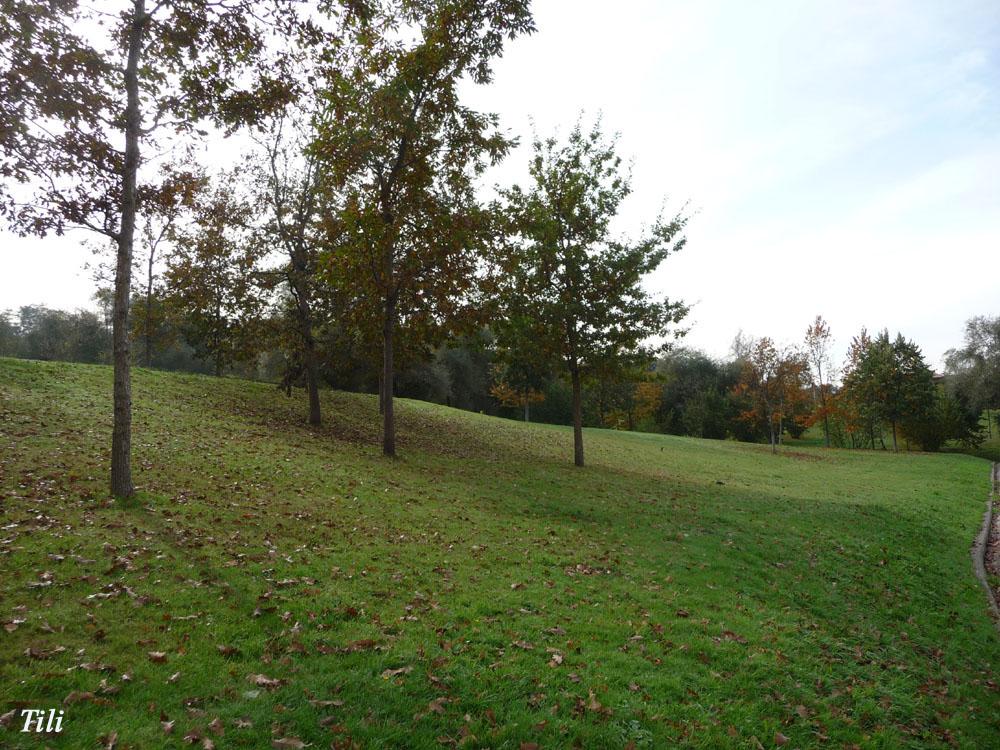 Foto de Oviedo (Asturias), España