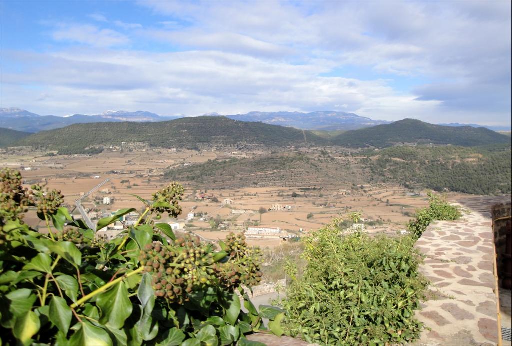 Foto de Cardona (Barcelona), España