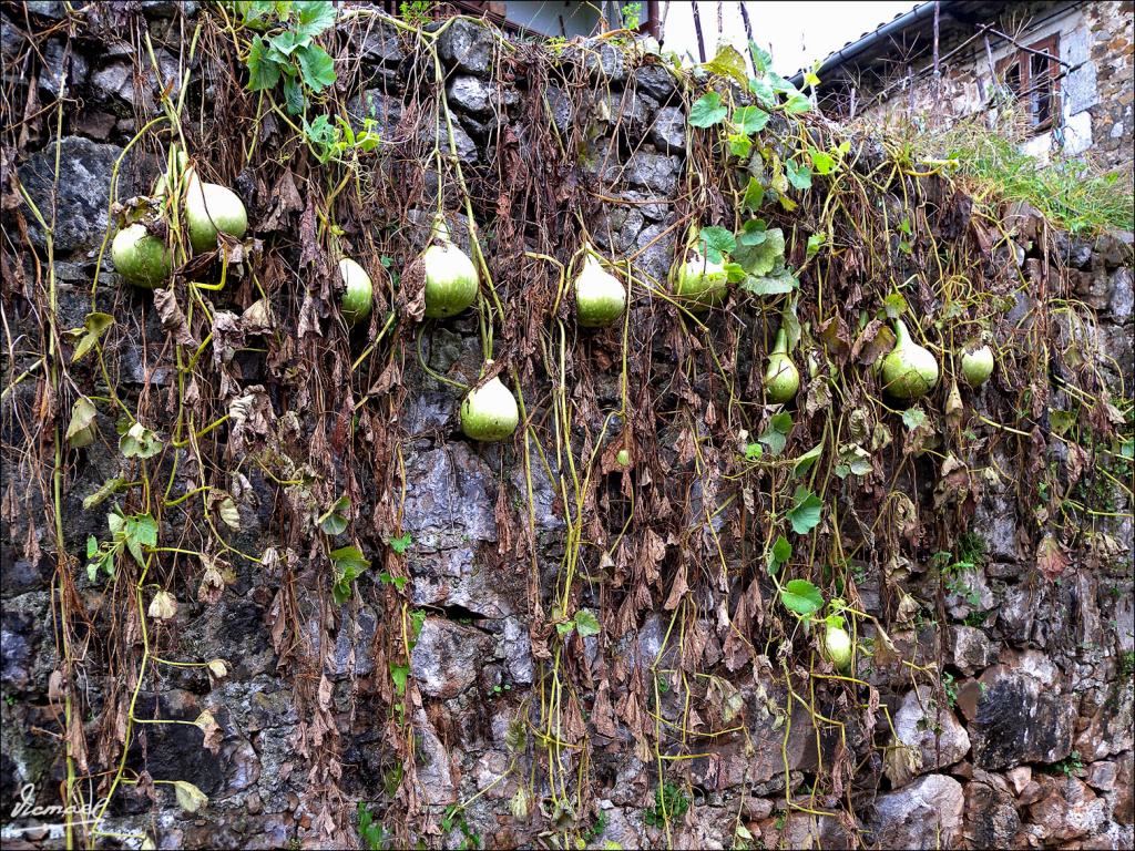 Foto de Los Pumares (Cantabria), España