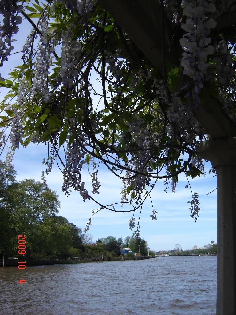 Foto de Tigre (Buenos Aires), Argentina