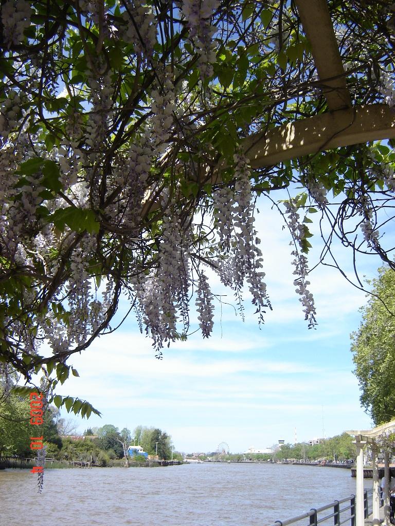 Foto de Tigre (Buenos Aires), Argentina