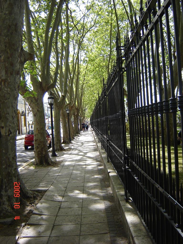 Foto de Tigre (Buenos Aires), Argentina