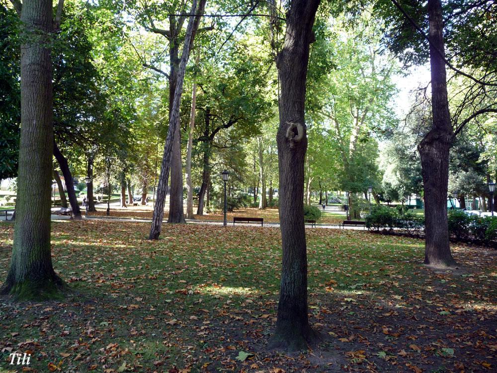 Foto de Oviedo (Asturias), España