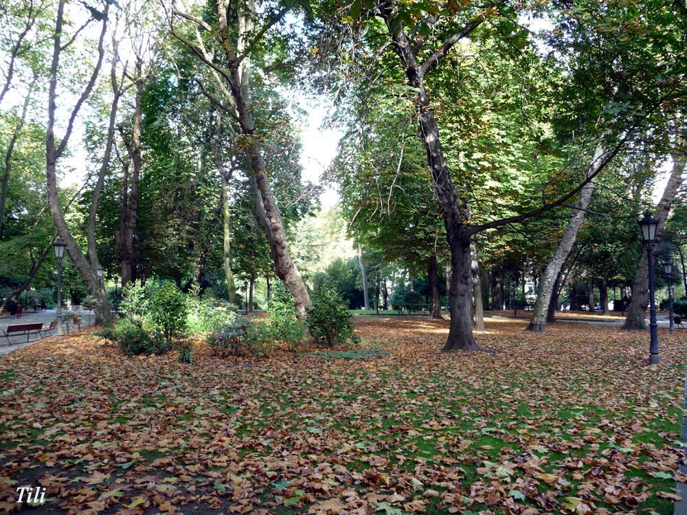 Foto de Oviedo (Asturias), España