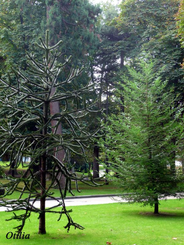 Foto de Oviedo (Asturias), España