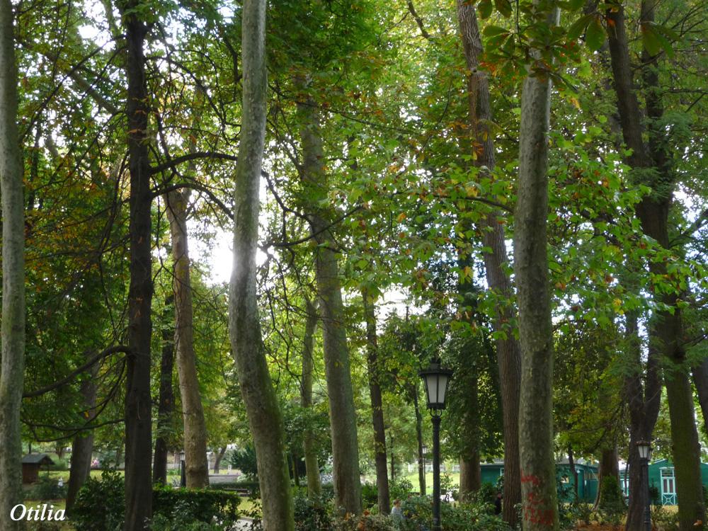 Foto de Oviedo (Asturias), España