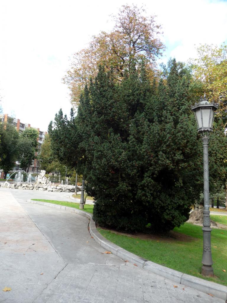 Foto de Oviedo (Asturias), España