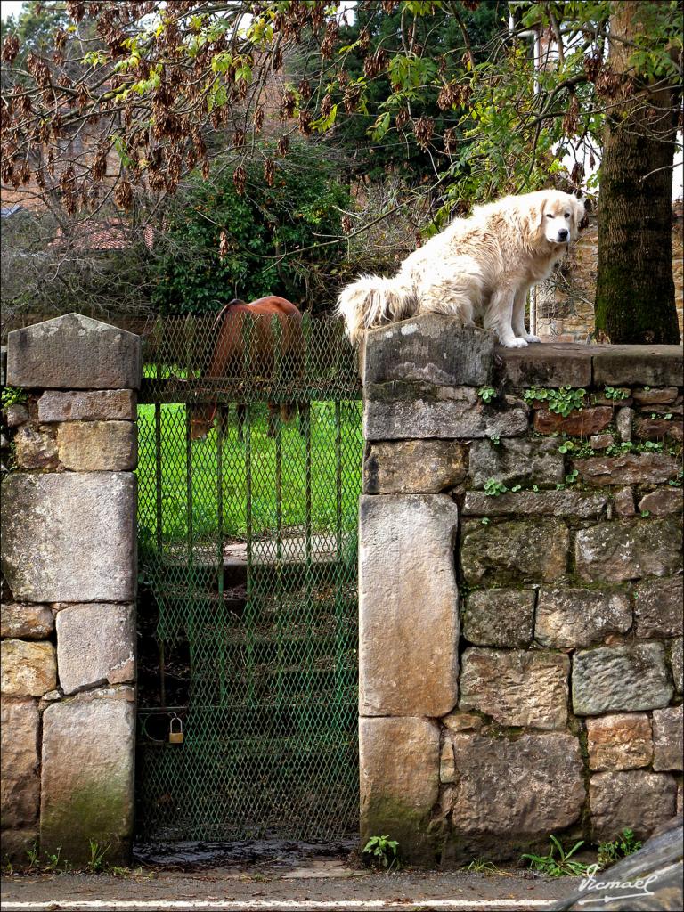Foto de Pánames (Cantabria), España