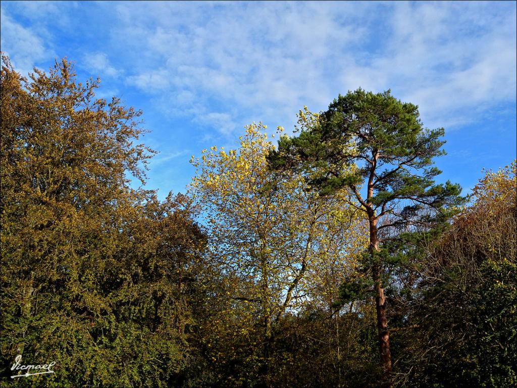 Foto de Liérganes (Cantabria), España