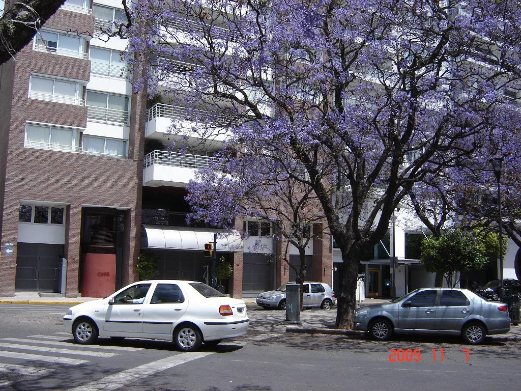 Foto de Rosario (Santa Fe), Argentina