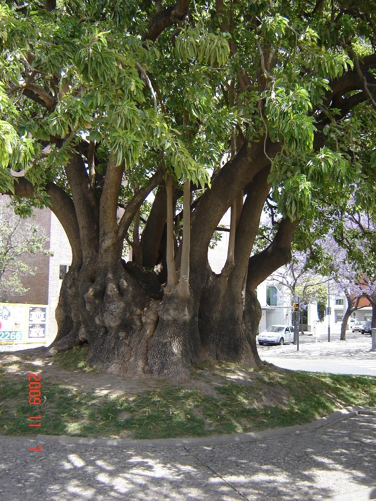 Foto de Rosario (Santa Fe), Argentina