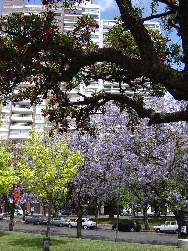 Foto de Rosario (Santa Fe), Argentina