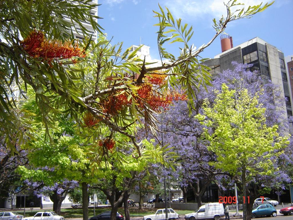 Foto de Rosario (Santa Fe), Argentina