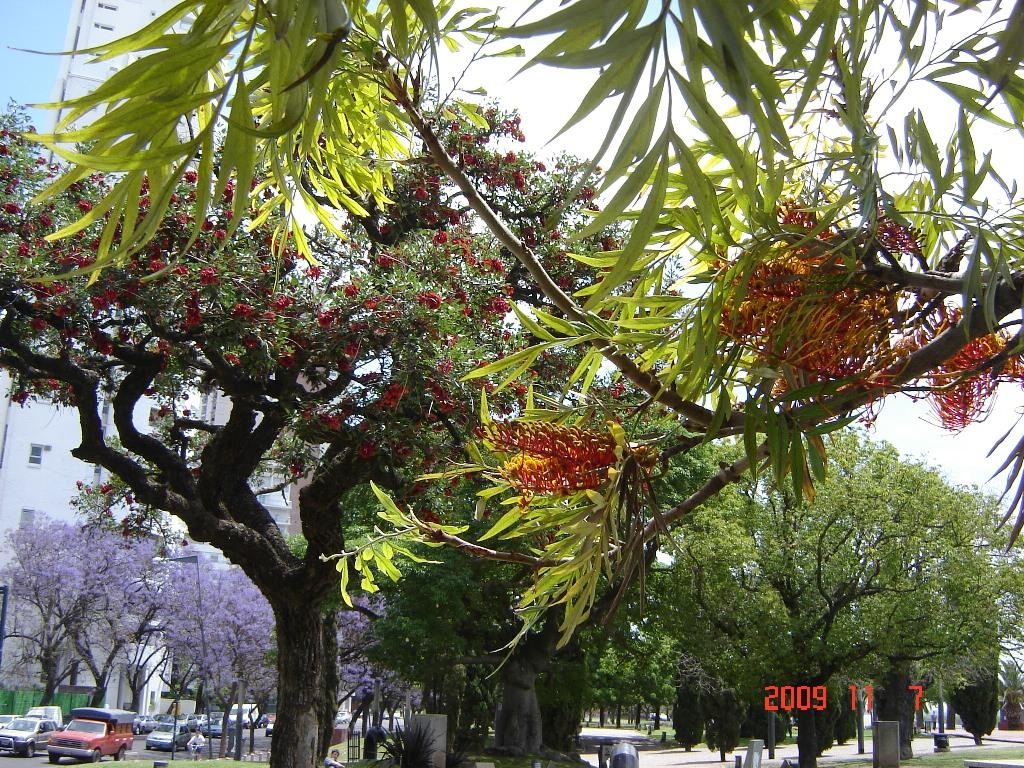 Foto de Rosario (Santa Fe), Argentina