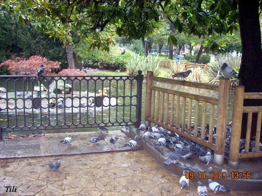 Foto de Oviedo (Asturias), España