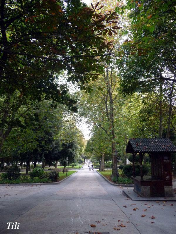 Foto de Oviedo (Asturias), España