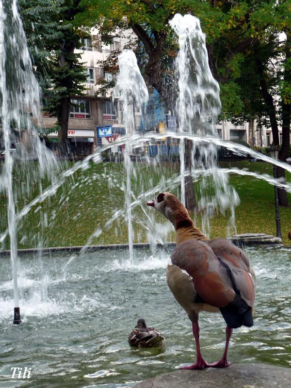 Foto de Oviedo (Asturias), España