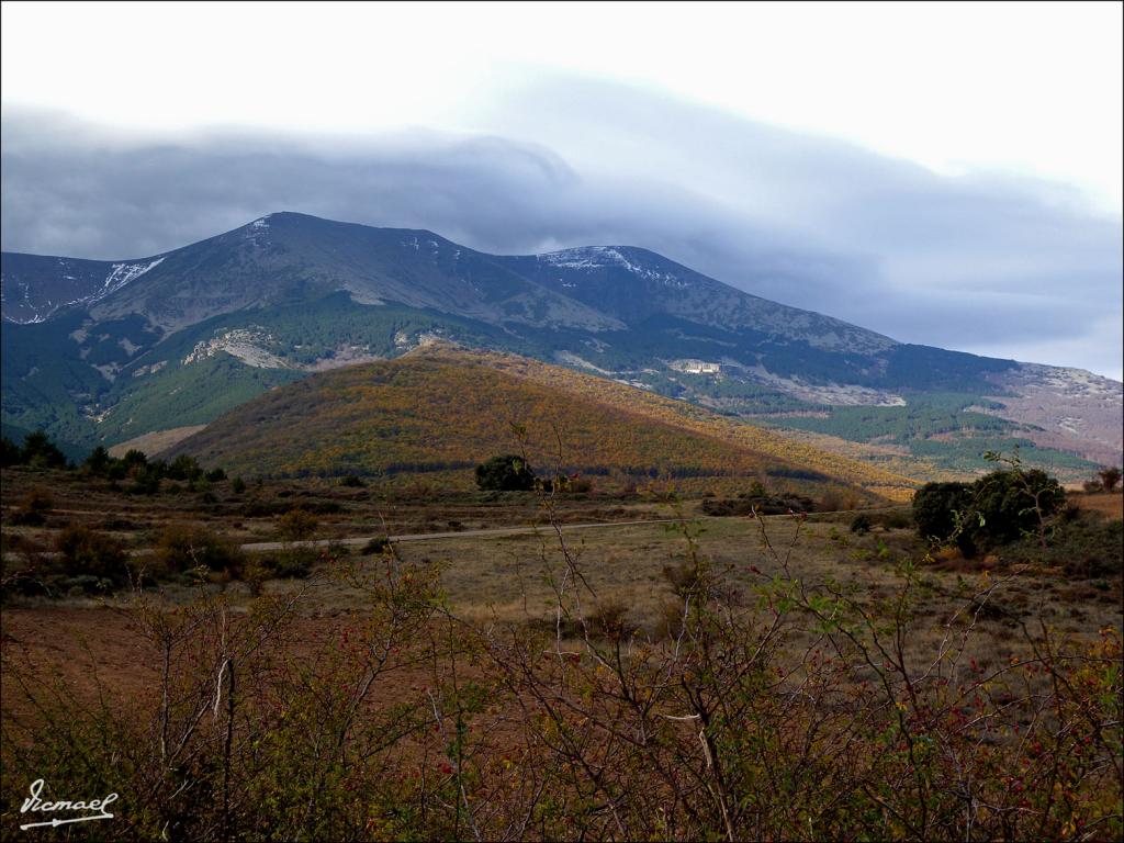 Foto de San Martin de la Virgen de Moncayo (Zaragoza), España