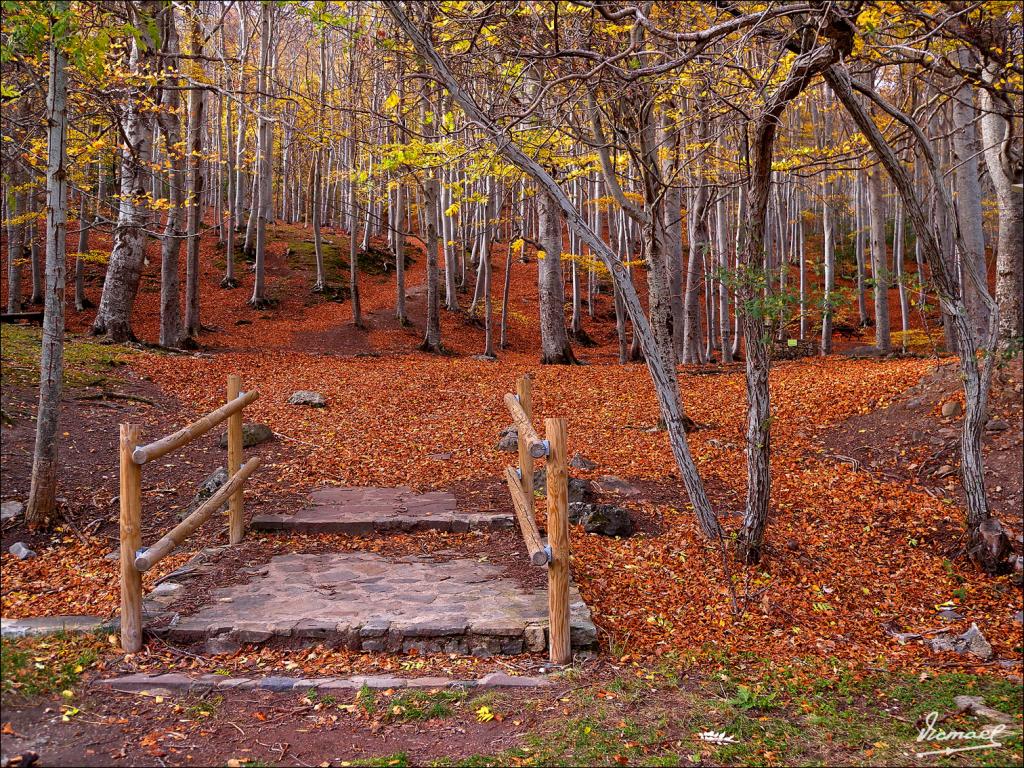 Foto de San Martin de la Virgen de Moncayo (Zaragoza), España