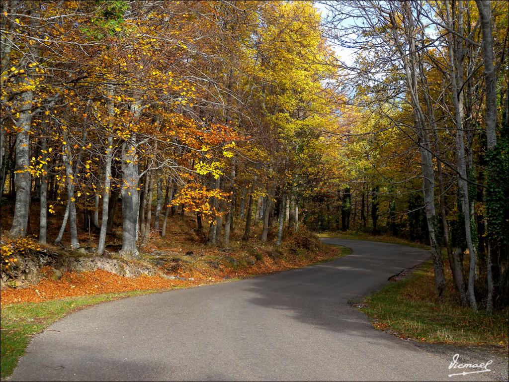 Foto de San Martin de la Virgen de Moncayo (Zaragoza), España