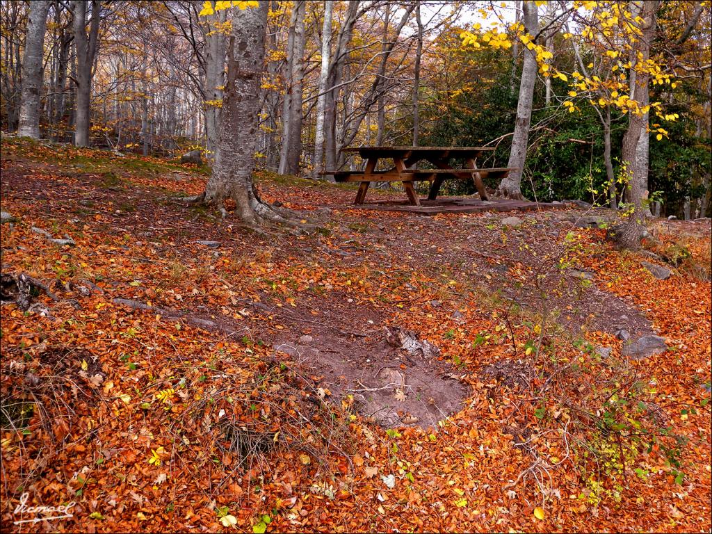 Foto de San Martin de la Virgen de Moncayo (Zaragoza), España