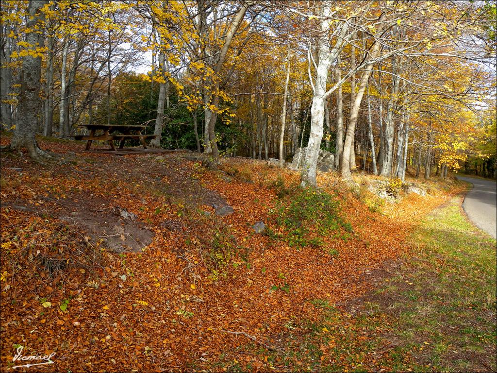 Foto de San Martin de la Virgen de Moncayo (Zaragoza), España