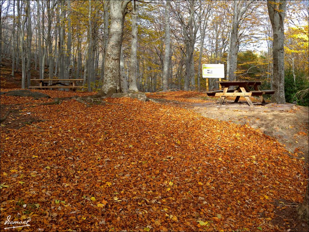 Foto de San Martin de la Virgen de Moncayo (Zaragoza), España
