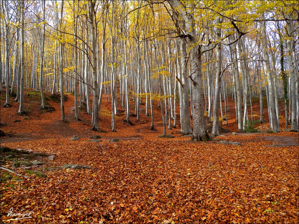 Foto de San Martin de la Virgen de Moncayo (Zaragoza), España